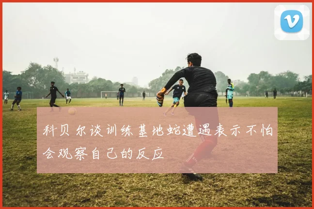 科贝尔谈训练基地蛇遭遇表示不怕会观察自己的反应